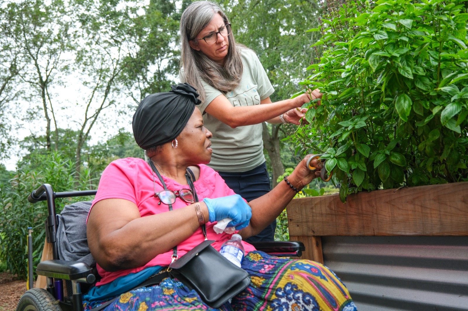 Community & Movements Documentation