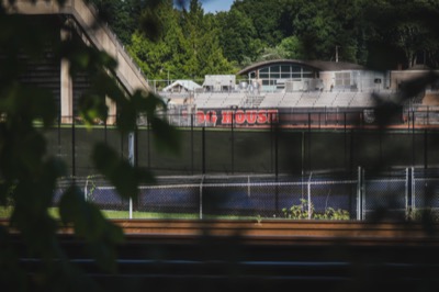 Community & Movements Documentation — photograph 4