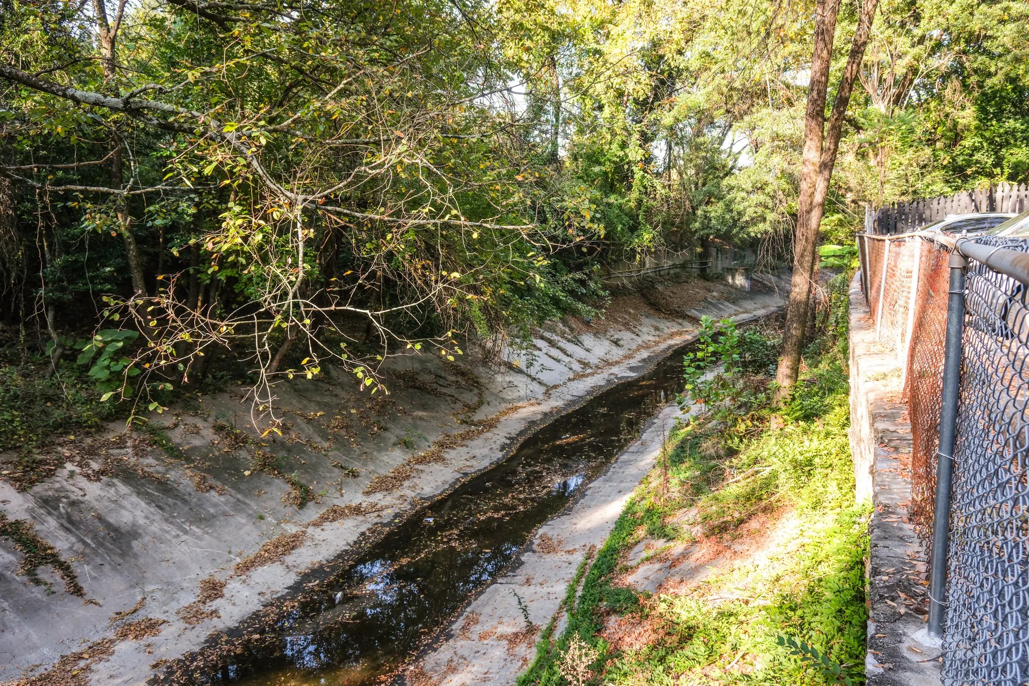 Canopy Atlanta Journalism — photograph 5